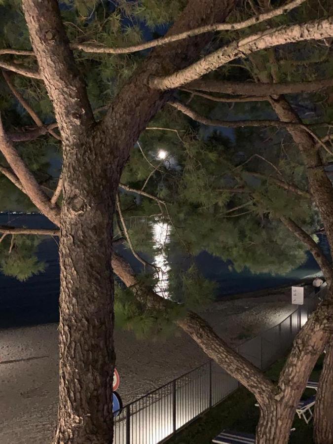 פאדנג'ה סול גארדה Villaggio Turistico Dei Tigli מראה חיצוני תמונה