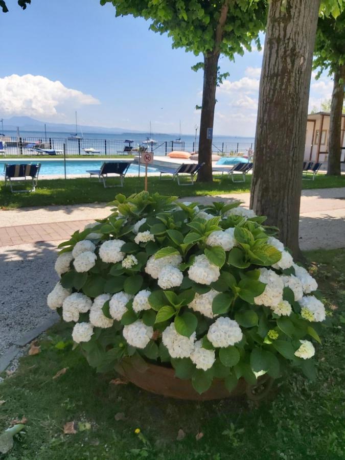 פאדנג'ה סול גארדה Villaggio Turistico Dei Tigli מראה חיצוני תמונה